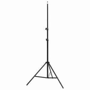 vidaXL Photo Studio Set with Lighting and Backdrop