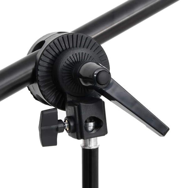 vidaXL Photo Studio Kit with Lights, Background, and Reflector