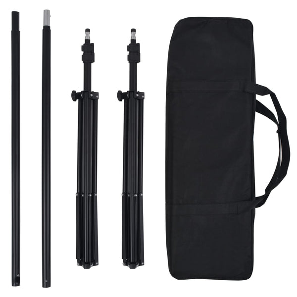 vidaXL Photo Studio Set with Lighting and Backdrop