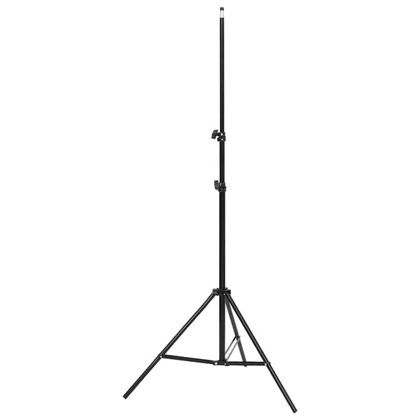 vidaXL Photo Studio Set with Lighting and Backdrop