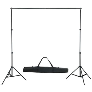 vidaXL Photo Studio Set with Lighting and Backdrop