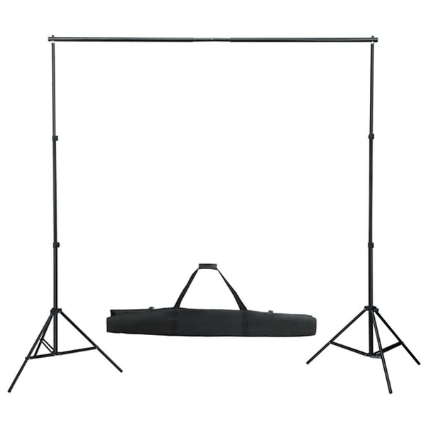 vidaXL Photo Studio Set with Lighting and Backdrop