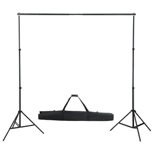 vidaXL Photo Studio Set with Lighting and Backdrop