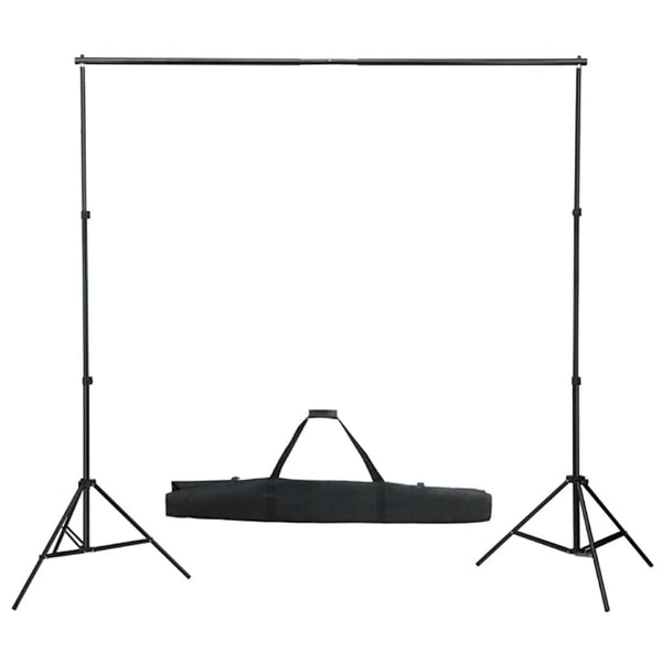 vidaXL Photo Studio Set with Lighting and Backdrop