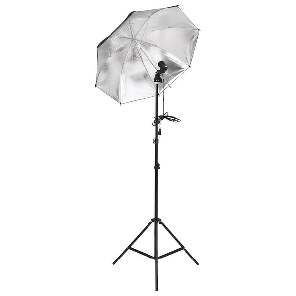 vidaXL Photo Studio Set with Lighting and Backdrop