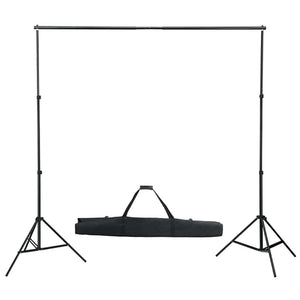vidaXL Photo Studio Set with Lighting and Backdrop