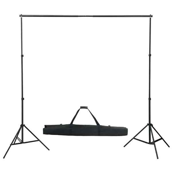 vidaXL Photo Studio Set with Lighting and Backdrop