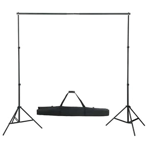vidaXL Photo Studio Kit with Lights, Background, and Reflector