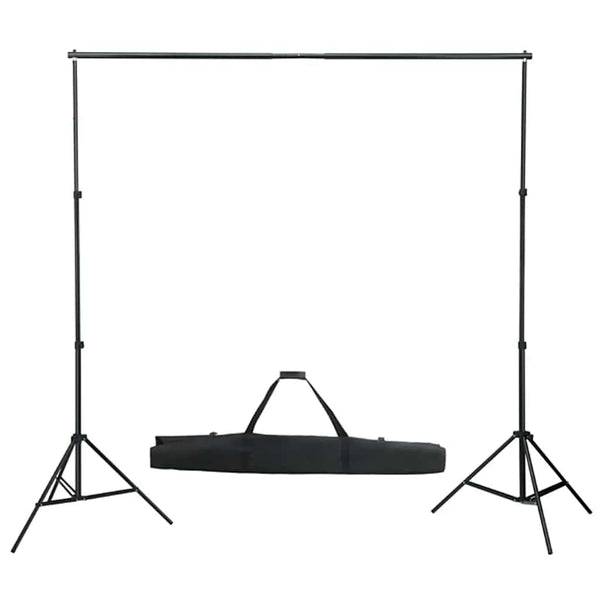 vidaXL Photo Studio Kit with Lights, Background, and Reflector