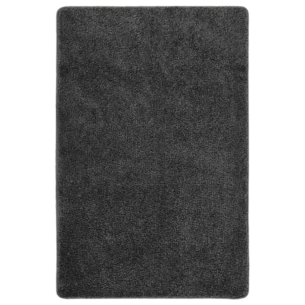 Dunkelgrauer Shaggy Teppich 200x290 cm