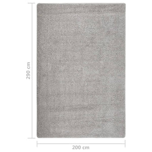 Shaggy Teppich Hellgrau 200x290 cm