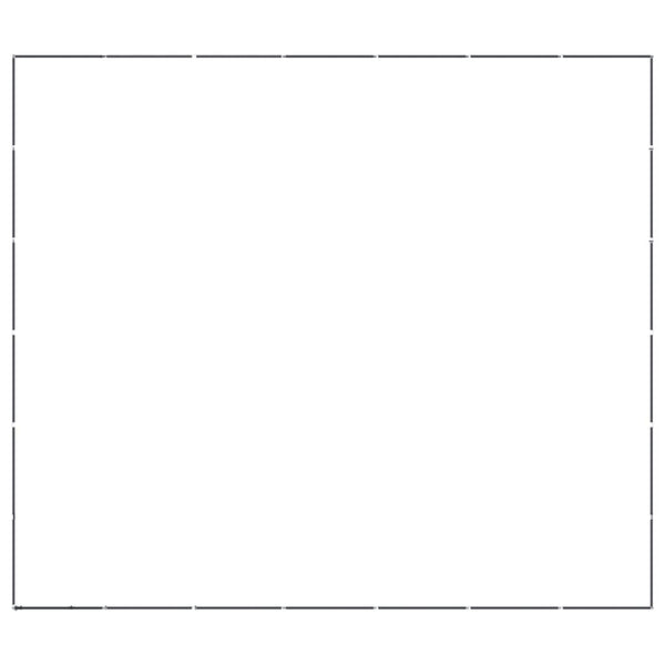 vidaXL Outdoor Dog Kennel Steel 38.71 m²