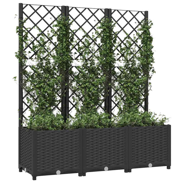 Garten-Pflanzgefäß mit Spalier Schwarz 120 x 40 x 136 cm PP