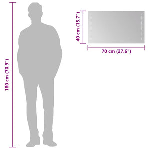 vidaXL LED Bathroom Mirror 70x40 cm