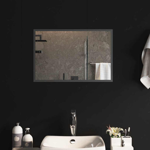 vidaXL LED Bathroom Mirror 60x40 cm
