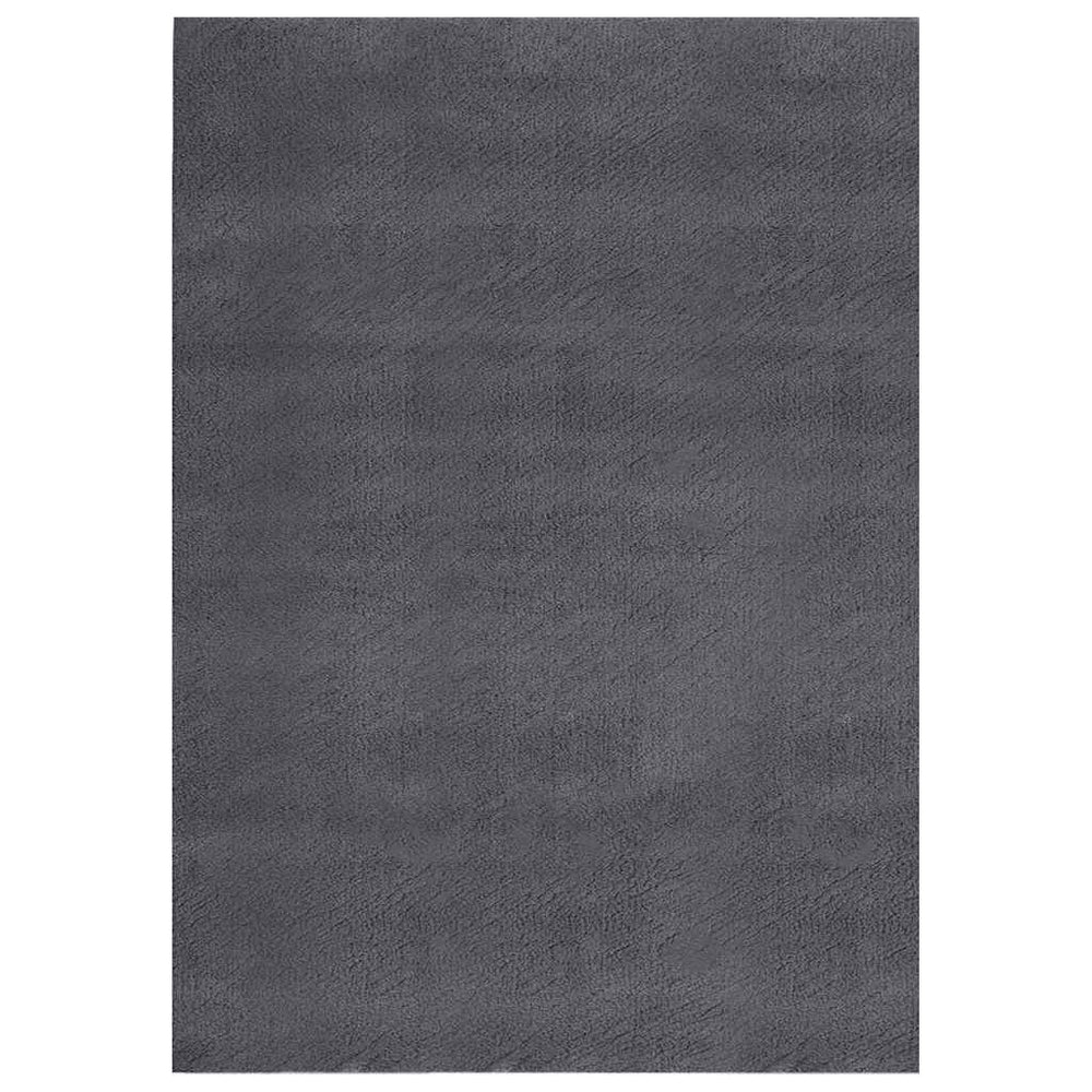 vidaXL Washable Shaggy Low Pile Rug 160x230 Non-Slip Anthracite