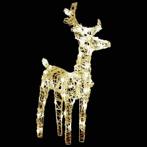 vidaXL LED Reindeer 2 pcs Warm White 80 LEDs Acrylic