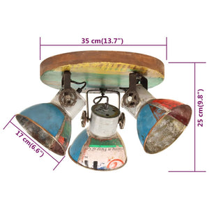 vidaXL Industrial Style Ceiling Lamp 25 W Multicolour 42x25 cm E27
