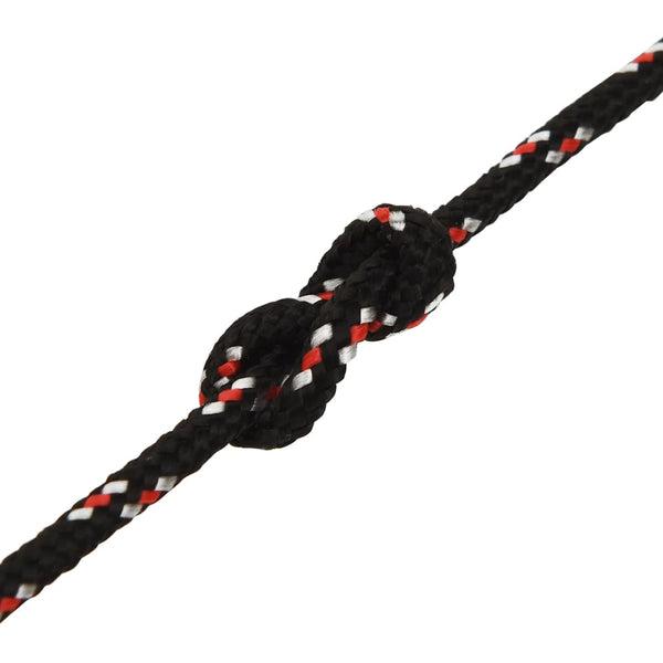 vidaXL Boat Rope Black 4 mm 250 m Polypropylene