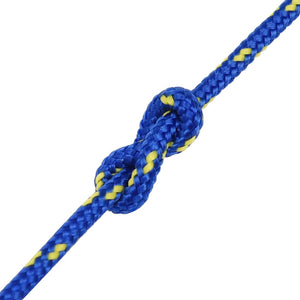 vidaXL Boat Rope Blue 3 mm 250 m Polypropylene