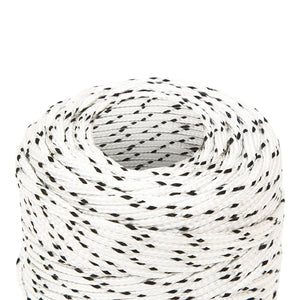 vidaXL Boat Rope Braided White 2 mmx500 m Polyester