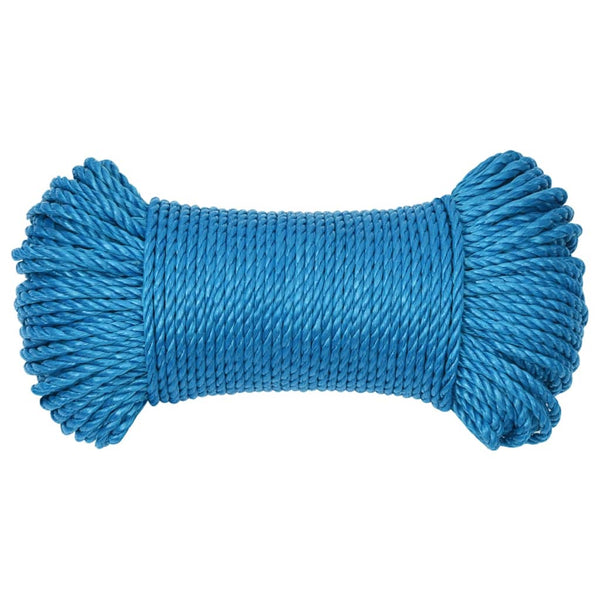 vidaXL Mooring Rope Blue 6 mm 100 m Polypropylene