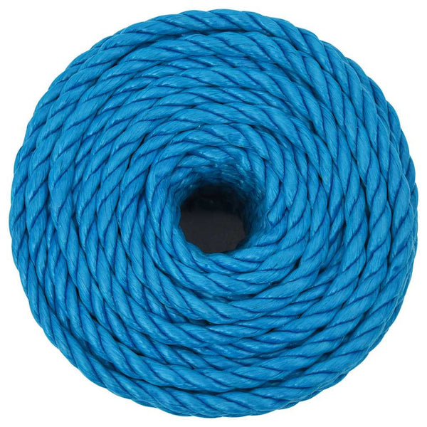 vidaXL Working Rope Blue 10 mm 50 m Polypropylene