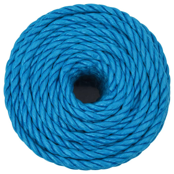 vidaXL Work Rope Blue 24 mm 50 m Polypropylene