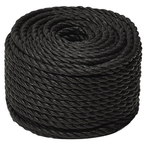 vidaXL Work Rope Black 10 mm 25 m Polypropylene