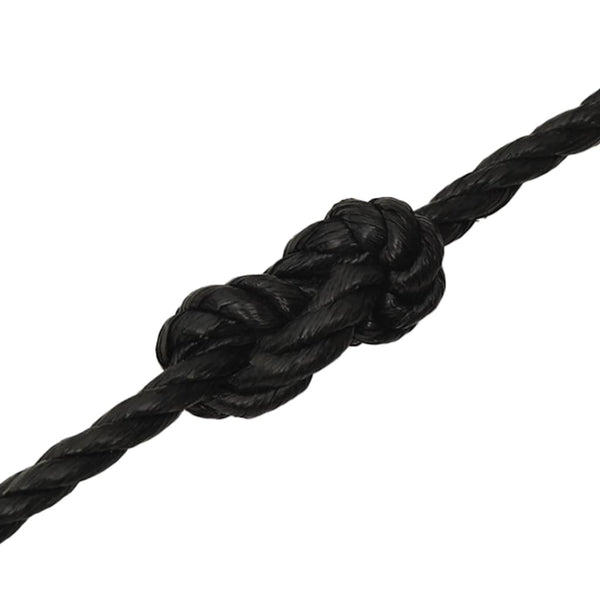 vidaXL Work Rope Black 10 mm 25 m Polypropylene