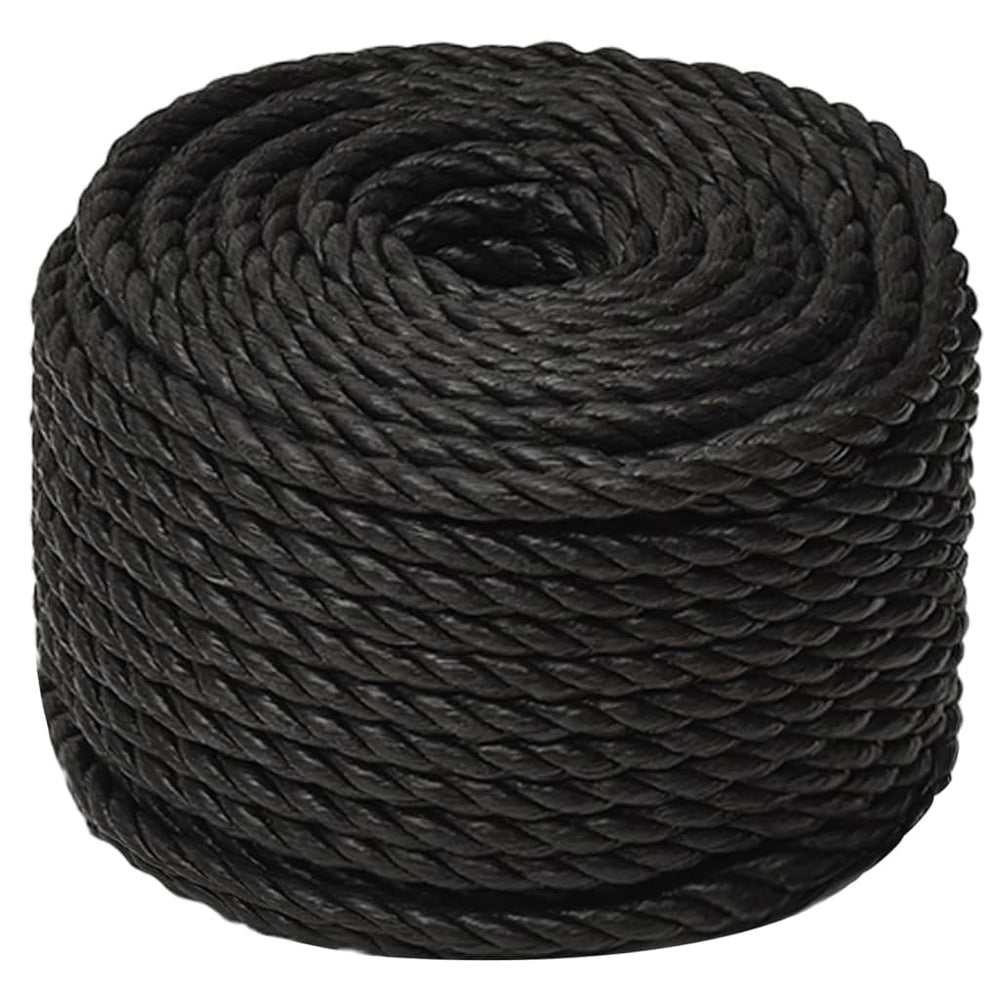 vidaXL Mooring Rope Black 20 mm 50 m Polypropylene