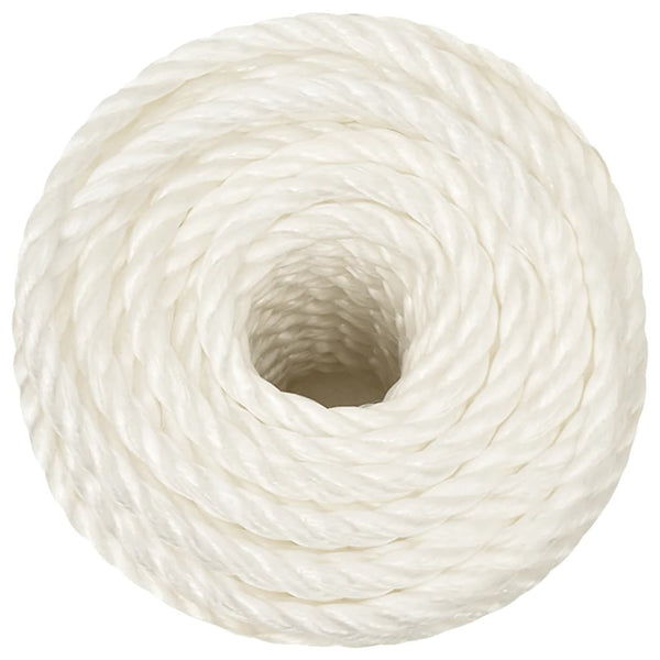 vidaXL Work Rope White 10 mm 25 m Polypropylene