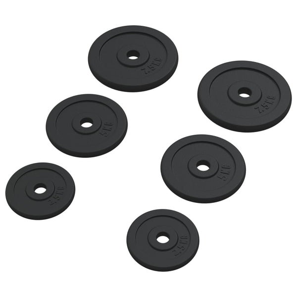 30 kg Hantelscheiben aus Gusseisen - 6er Set