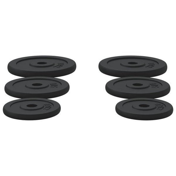 30 kg Hantelscheiben aus Gusseisen - 6er Set