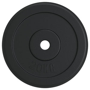 20 kg Gusseisen Hantelscheibe