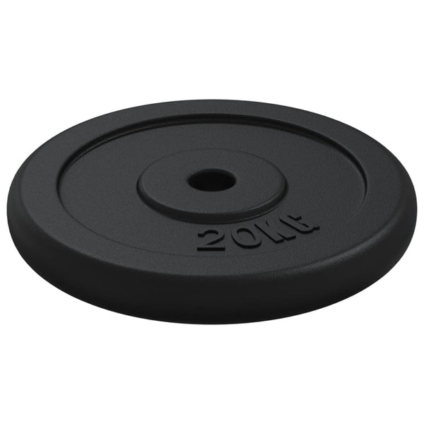 20 kg Gusseisen Hantelscheibe