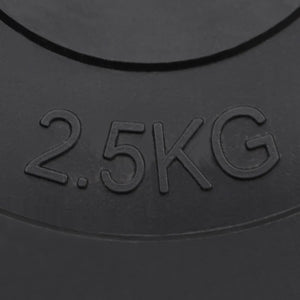 30 kg Zement Hantelscheiben Set - 6 Stück