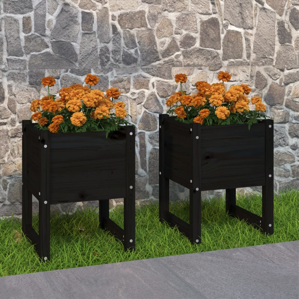 vidaXL Planters 2 pcs. Black 40x40x52.5 cm Solid Pine Wood
