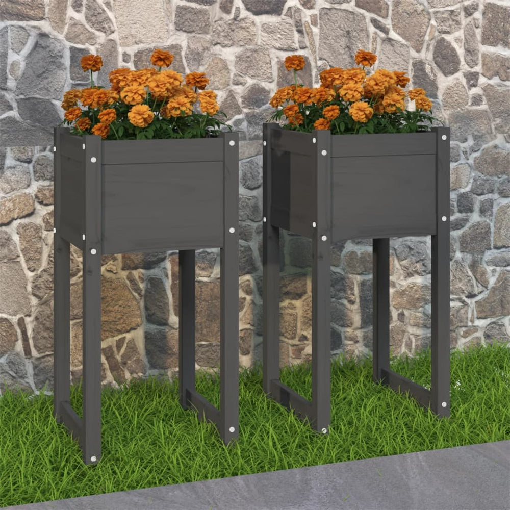 vidaXL Planters 2 pcs Grey 40x40x81 cm Solid Pine Wood