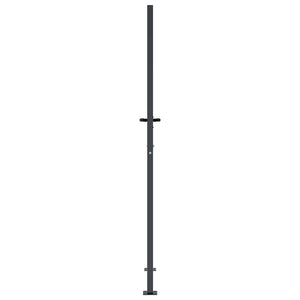 vidaXL Garden Gate Anthracite 100x175 cm Steel Grass Design