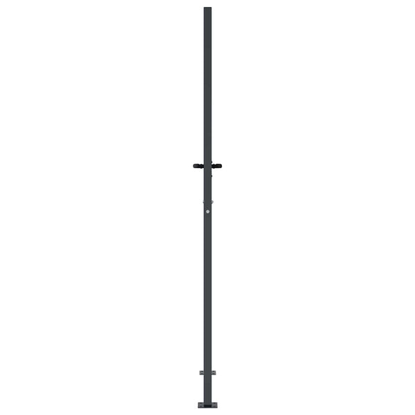 vidaXL Garden Gate Anthracite 100x175 cm Steel Grass Design