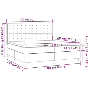 vidaXL Box Spring Bed with Mattress & LED Dark Gray 200x200 cm Velvet