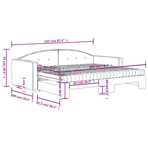 vidaXL Extendable Day Bed with Mattresses Dark Green 90x200 cm Velvet