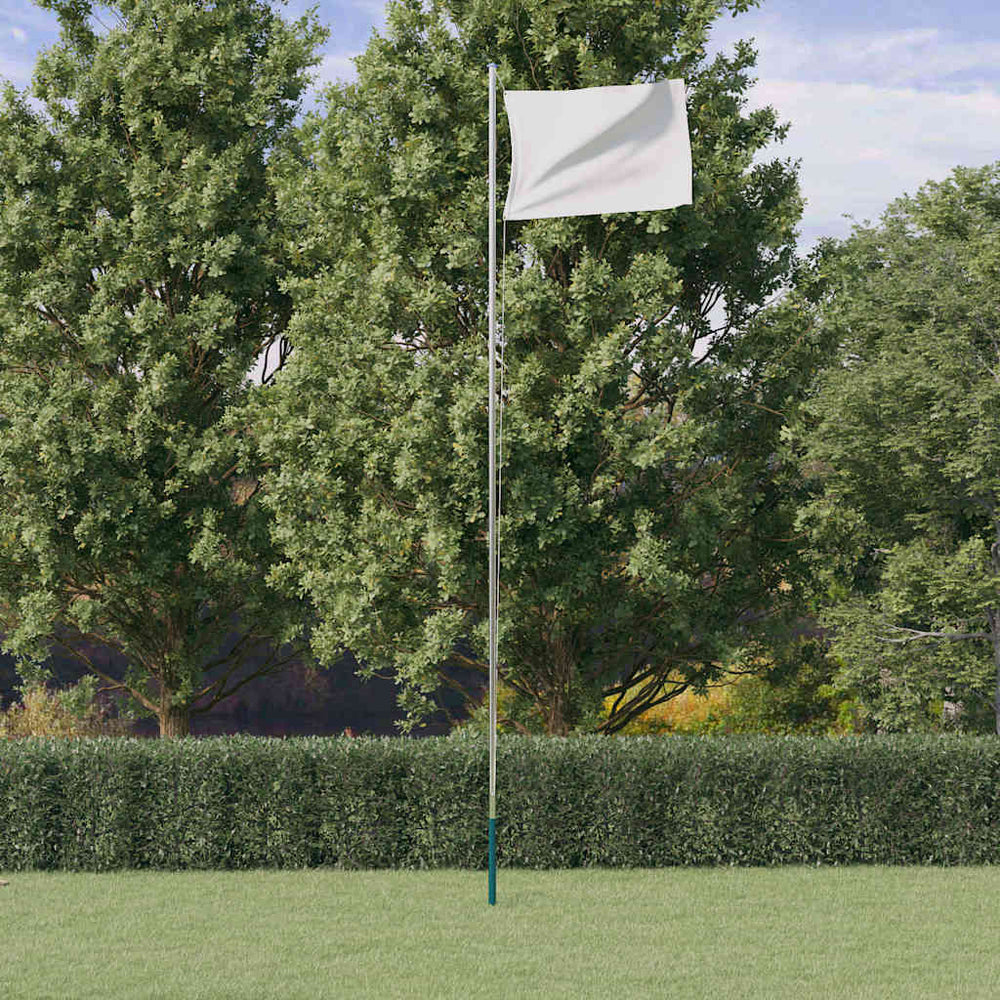 vidaXL Sectional Flagpole Silver 6.08 m Aluminum