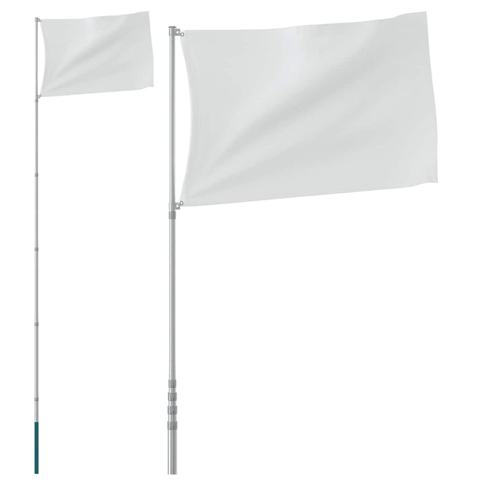 vidaXL Telescopic Flagpole Silver 5.5 m Aluminum