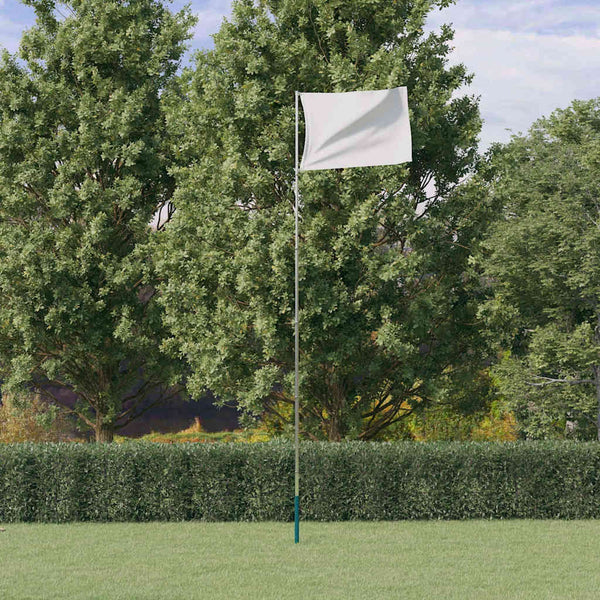vidaXL Telescopic Flagpole Silver 5.5 m Aluminum