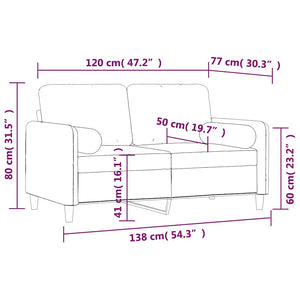 vidaXL 2-Seater Sofa with Cushions Dark Grey 120 cm Velvet