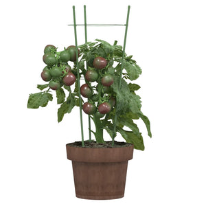 vidaXL Plant Supports with 3 Rings 5 pcs. Green 45 cm Steel