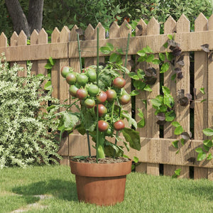 vidaXL Plant Supports with 3 Rings 5 pcs. Green 45 cm Steel