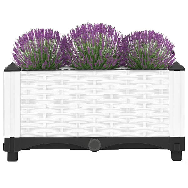 vidaXL Raised Garden Bed 40x40x23 cm Polypropylene